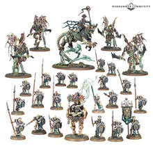 Null Myriad Phalanx