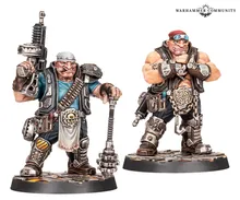 Ogryn Minders